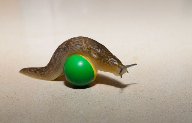 morning picdump 57 pics 9.html - 57 HD Photos | Premium Gallery 2012