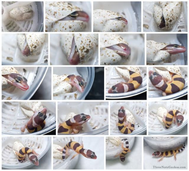 morning picdump 57 pics 9.html - 57 HD Photos | Premium Gallery 2012