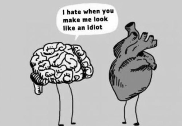 morning picdump 57 pics 9.html - 57 HD Photos | Premium Gallery 2012