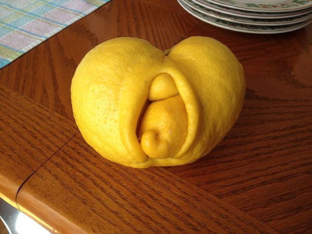 morning picdump 58 pics 7.html - 58 HD Photos | Premium Gallery 2012