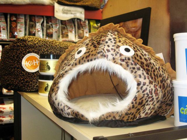 morning picdump 58 pics 7.html - 58 HD Photos | Premium Gallery 2012