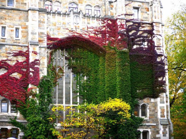 morning picdump 58 pics 7.html - 58 HD Photos | Premium Gallery 2012