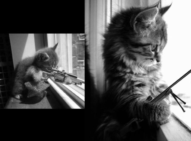 morning picdump 58 pics 7.html - 58 HD Photos | Premium Gallery 2012