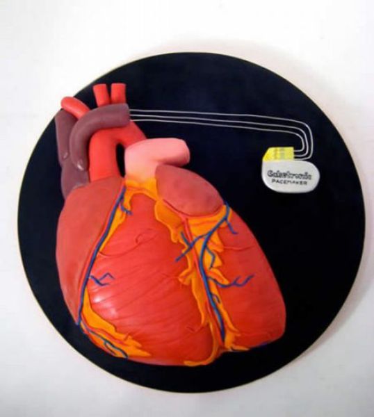 You Won’t Believe These Are Cakes