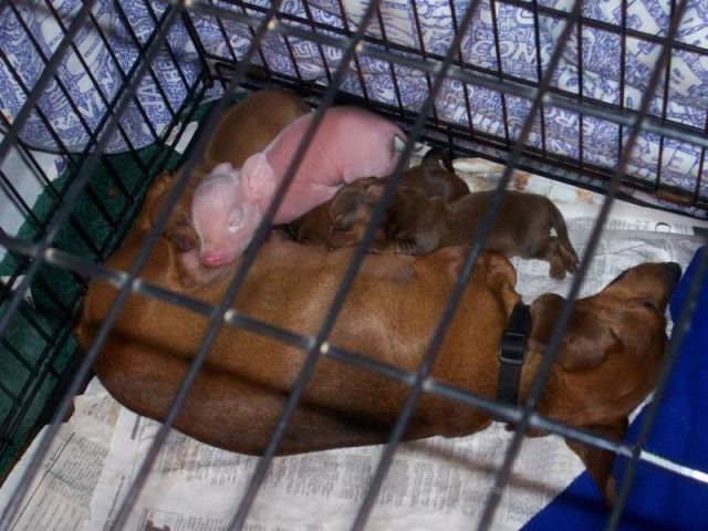 daily picdump weekend edition 76 pics 12.html - 76 HD Photos | Premium Gallery 2012