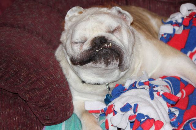 daily picdump weekend edition 76 pics 12.html - 76 HD Photos | Premium Gallery 2012