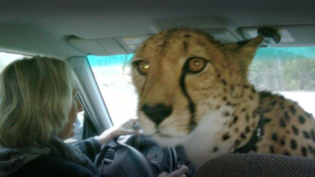 daily picdump weekend edition 76 pics 12.html - 76 HD Photos | Premium Gallery 2012