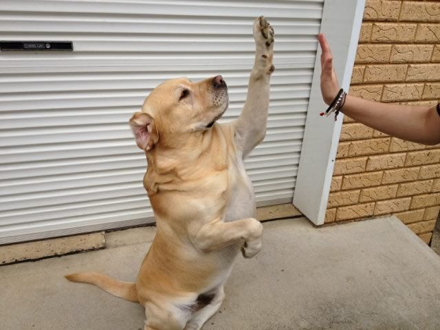 daily picdump weekend edition 76 pics 12.html - 76 HD Photos | Premium Gallery 2012