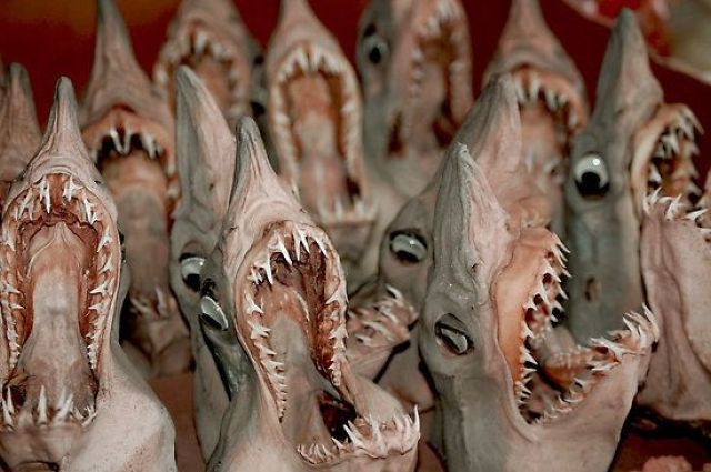 daily picdump weekend edition 76 pics 12.html - 76 HD Photos | Premium Gallery 2012