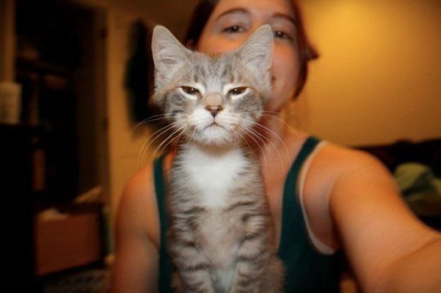 daily picdump weekend edition 76 pics 12.html - 76 HD Photos | Premium Gallery 2012