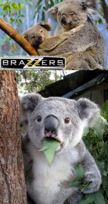 morning picdump 57 pics 36.html - 57 HD Photos | Premium Gallery 2012