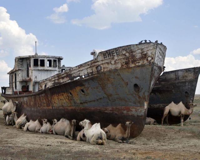 morning picdump 59 pics 16.html - 59 HD Photos | Premium Gallery 2012