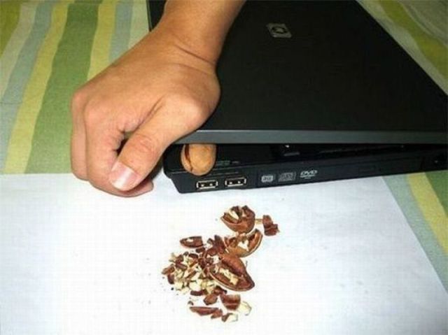 morning picdump 59 pics 16.html - 59 HD Photos | Premium Gallery 2012