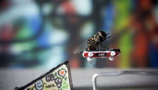 morning picdump 59 pics 16.html - 59 HD Photos | Premium Gallery 2012