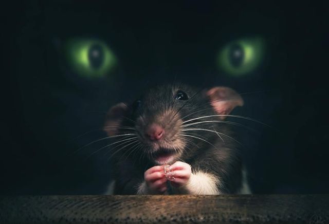 morning picdump 59 pics 16.html - 59 HD Photos | Premium Gallery 2012