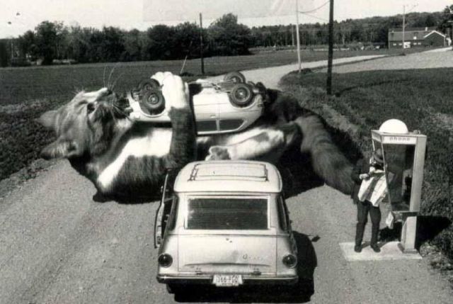 morning picdump 59 pics 16.html - 59 HD Photos | Premium Gallery 2012