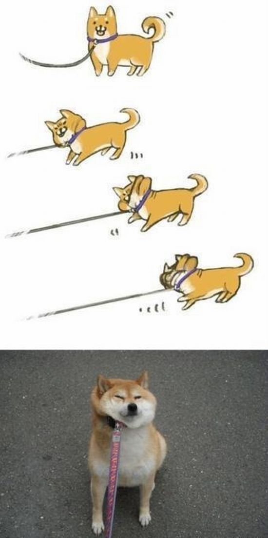 morning picdump 59 pics 16.html - 59 HD Photos | Premium Gallery 2012