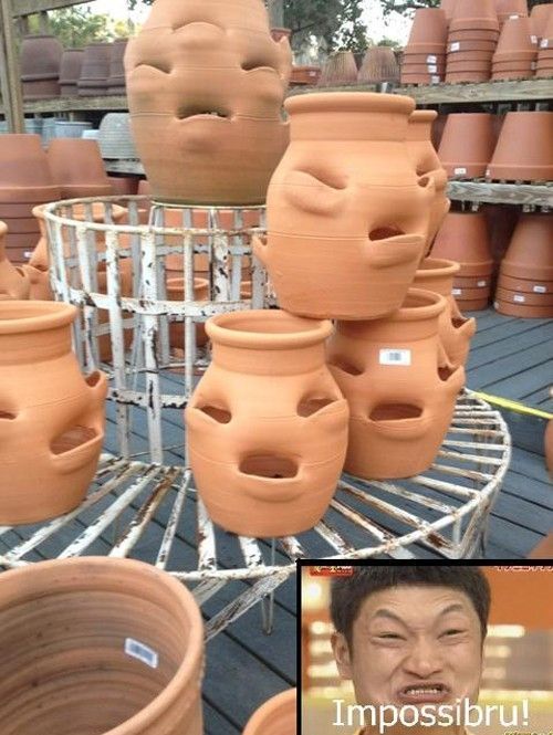 morning picdump 59 pics 16.html - 59 HD Photos | Premium Gallery 2012