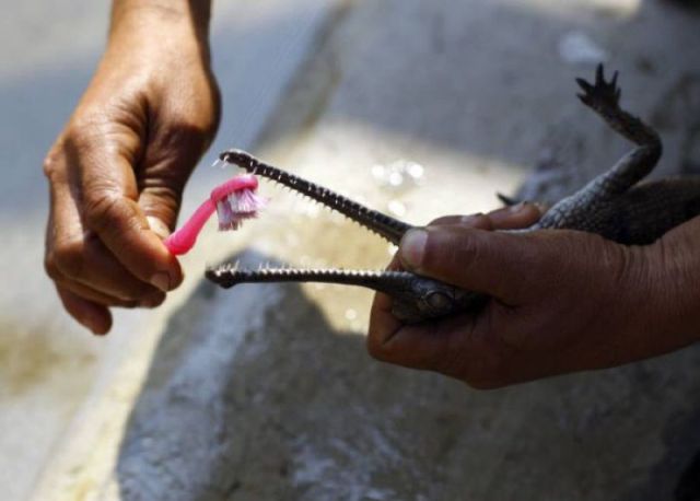 morning picdump 54 pics 54.html - 54 HD Photos | Premium Gallery 2012