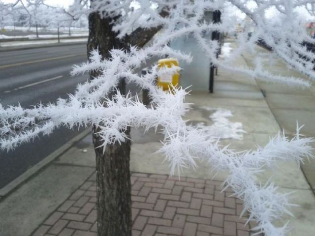 morning picdump 54 pics 54.html - 54 HD Photos | Premium Gallery 2012