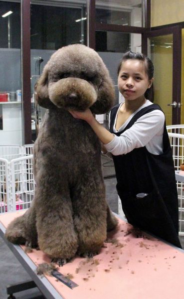 morning picdump 54 pics 52.html - 54 HD Photos | Premium Gallery 2012