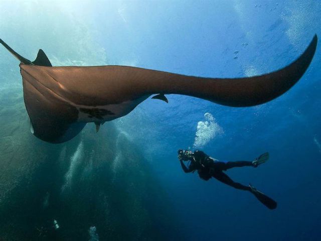 morning picdump 54 pics 52.html - 54 HD Photos | Premium Gallery 2012