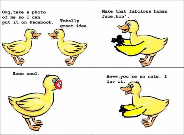 morning picdump 54 pics 52.html - 54 HD Photos | Premium Gallery 2012