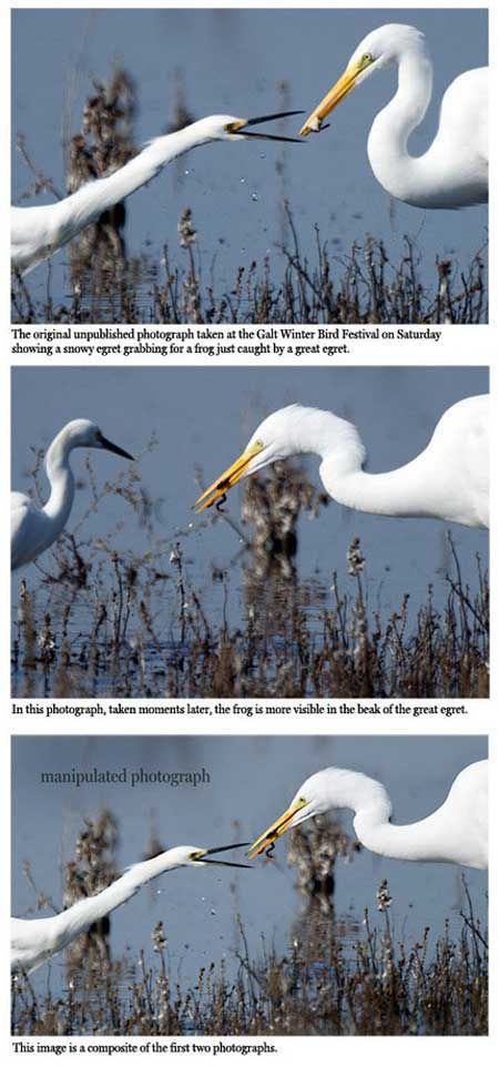 morning picdump 54 pics 52.html - 54 HD Photos | Premium Gallery 2012