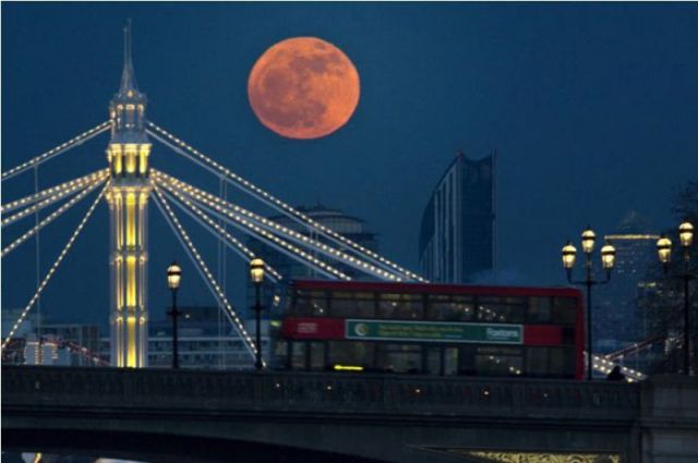 morning picdump 54 pics 29.html - 54 HD Photos | Premium Gallery 2012