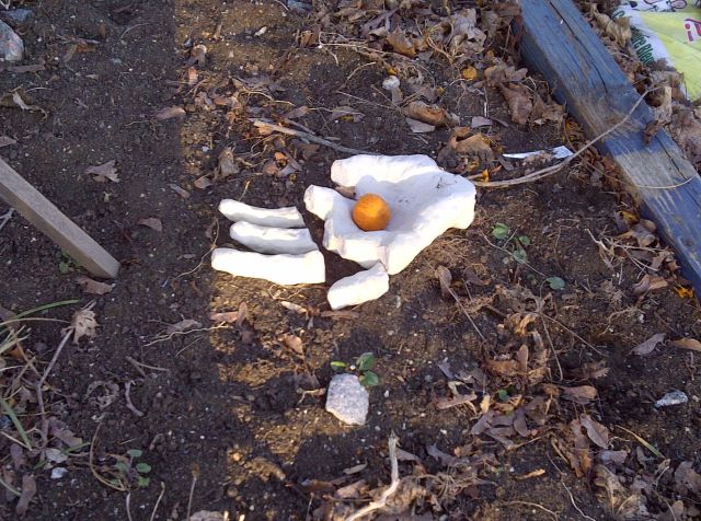 morning picdump 54 pics 29.html - 54 HD Photos | Premium Gallery 2012