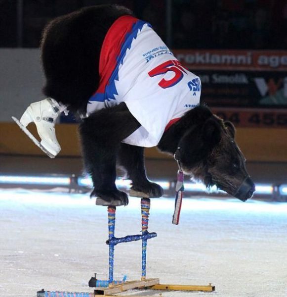 daily picdump 88 pics 35.html - 88 HD Photos | Premium Gallery 2012