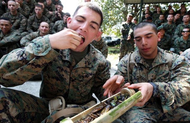 daily picdump 88 pics 35.html - 88 HD Photos | Premium Gallery 2012