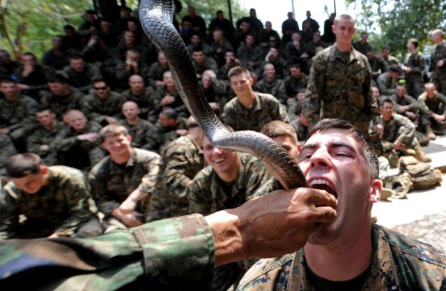 daily picdump 88 pics 35.html - 88 HD Photos | Premium Gallery 2012