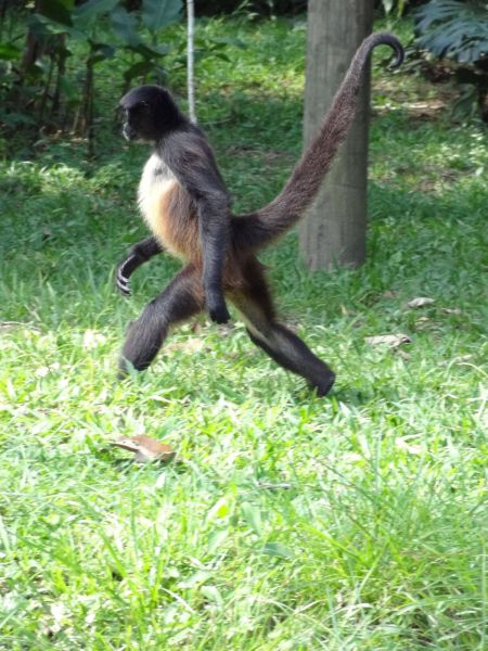 daily picdump 88 pics 35.html - 88 HD Photos | Premium Gallery 2012