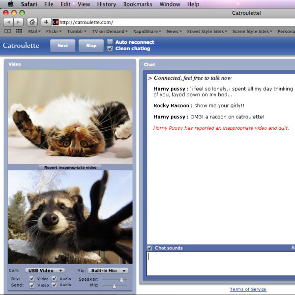 daily picdump 88 pics 35.html - 88 HD Photos | Premium Gallery 2012