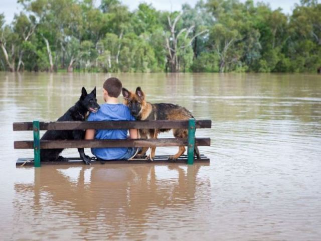 morning picdump 55 pics 31.html - 55 HD Photos | Premium Gallery 2012