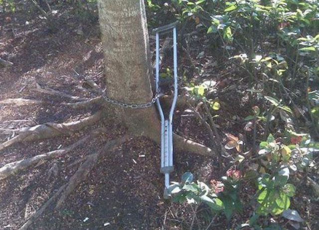 morning picdump 55 pics 31.html - 55 HD Photos | Premium Gallery 2012