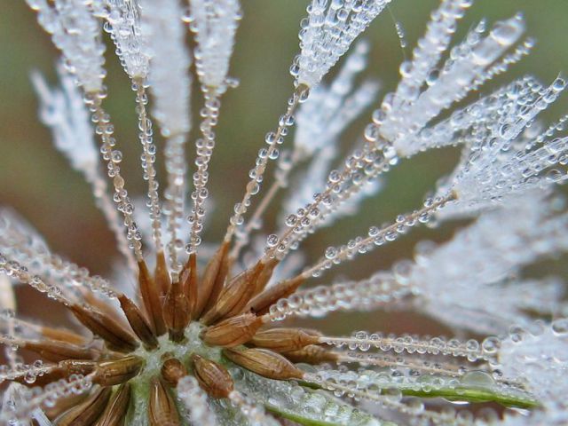 morning picdump 55 pics 31.html - 55 HD Photos | Premium Gallery 2012