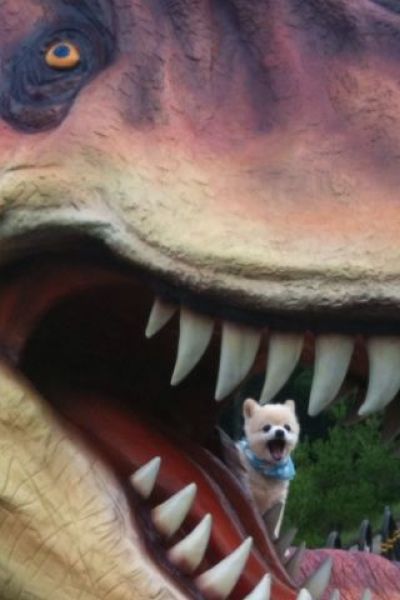 morning picdump 55 pics 31.html - 55 HD Photos | Premium Gallery 2012