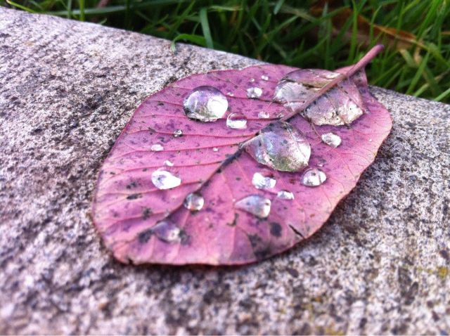 morning picdump 55 pics 31.html - 55 HD Photos | Premium Gallery 2012