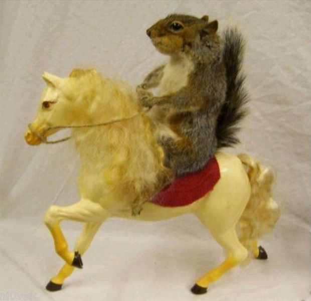 morning picdump 55 pics 31.html - 55 HD Photos | Premium Gallery 2012