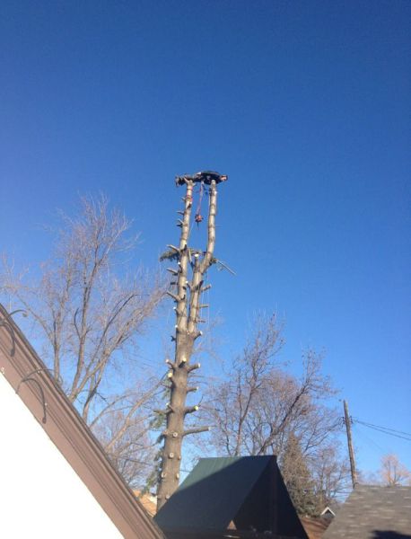 morning picdump 55 pics 31.html - 55 HD Photos | Premium Gallery 2012