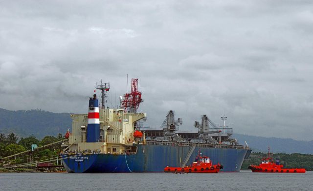 morning picdump 55 pics 31.html - 55 HD Photos | Premium Gallery 2012