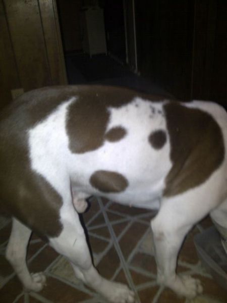 morning picdump 54 pics 4.html - 54 HD Photos | Premium Gallery 2012