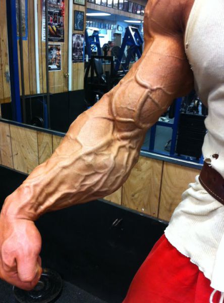 Big Muscle Nerds