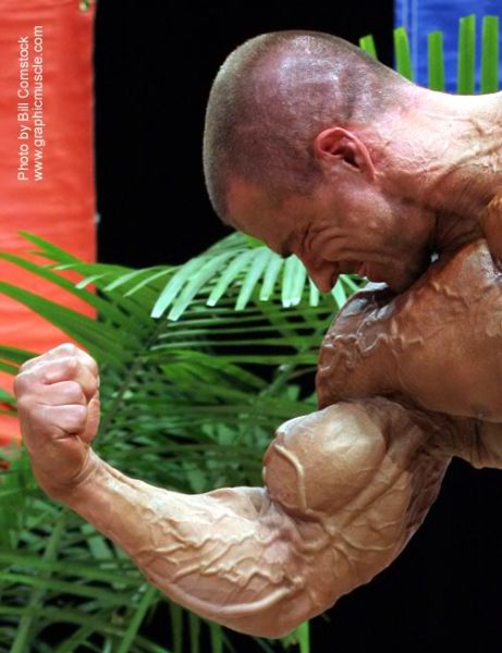 Big Muscle Nerds
