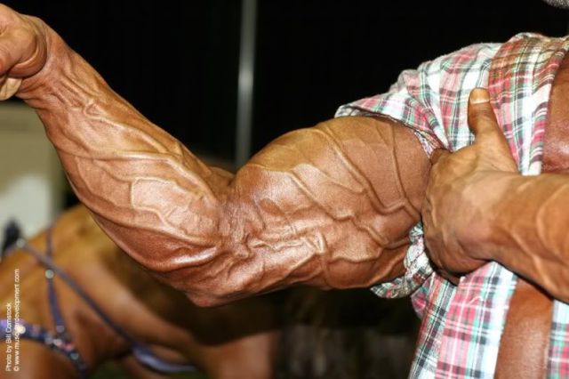 Big Muscle Nerds