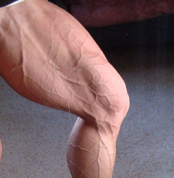 Big Muscle Nerds