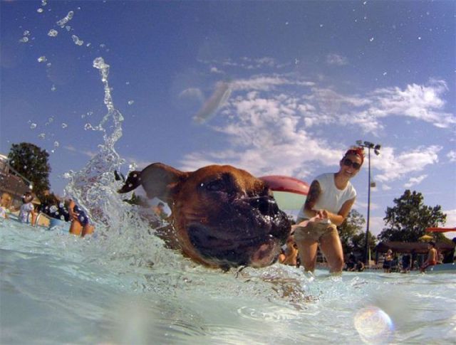 morning picdump 50 pics 23.html - 50 HD Photos | Premium Gallery 2012