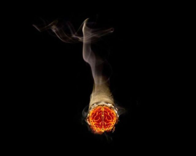 morning picdump 50 pics 23.html - 50 HD Photos | Premium Gallery 2012